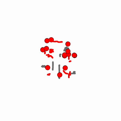 Export Image